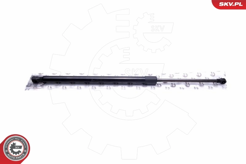 Gas Spring, boot/cargo area